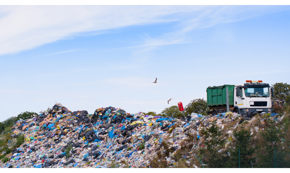  Importar lixo? O retrocesso ambiental que não podemos aceitar